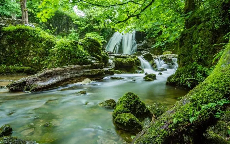 高性能高效